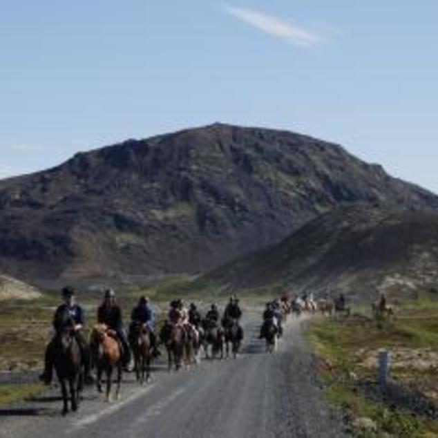 Reykjavík - De vikingentocht paardrijden