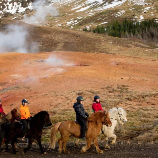 Horses and hot springs