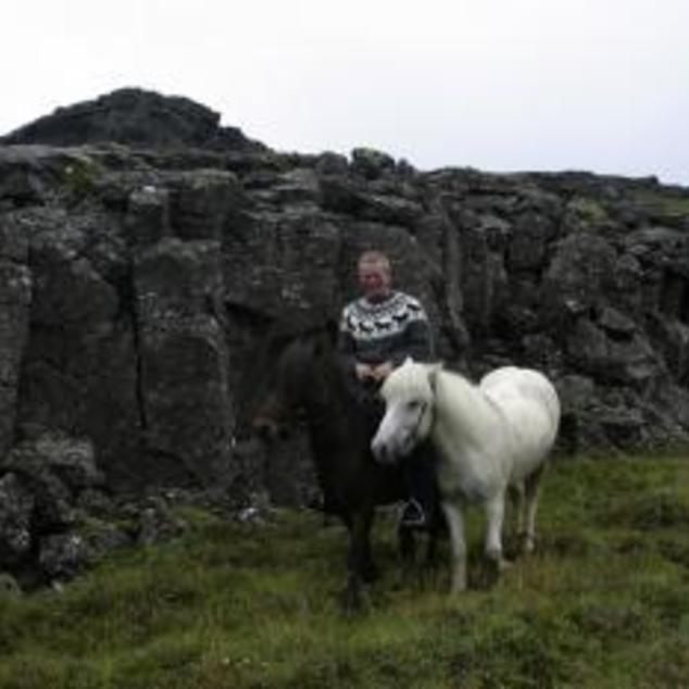 Reykjavík - De lava tour paardrijden