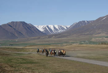 Paardrijden in Skagafjörður